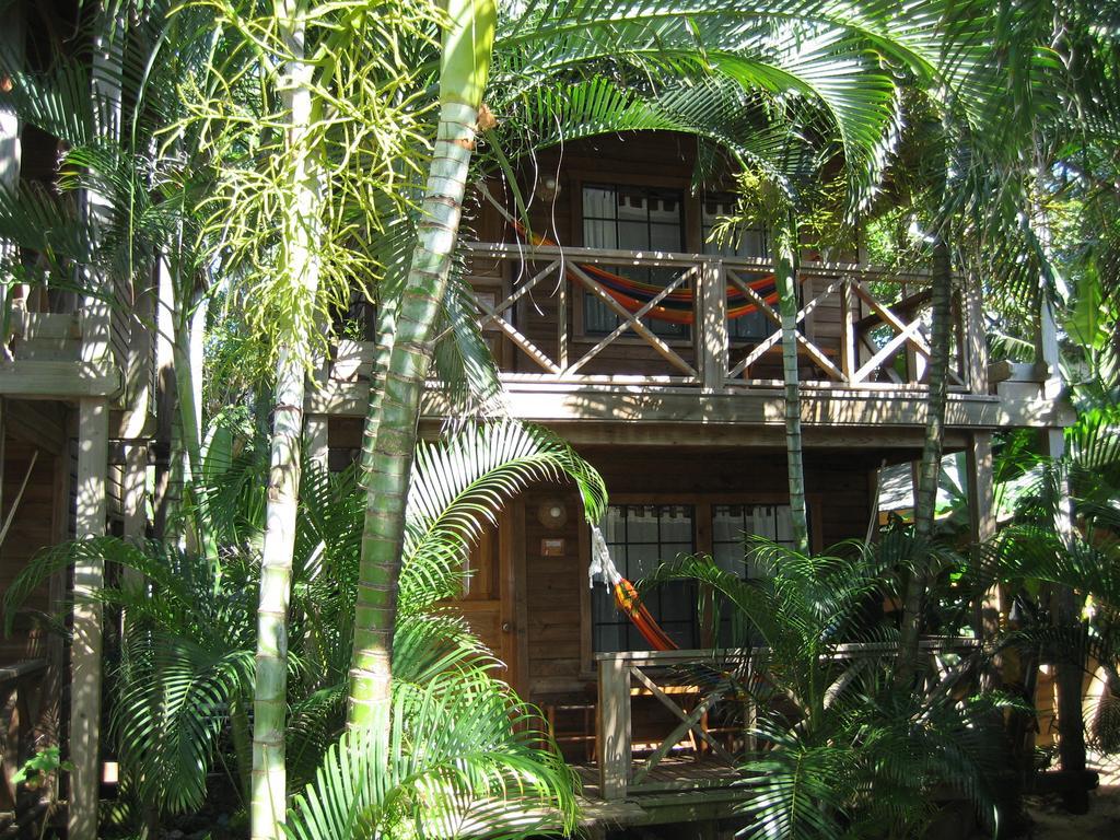 Las Rocas Resort And Dive Center West Bay Exterior photo